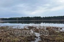 выкса.рф, В Виле полицейский пресек незаконный вылов рыбы с использованием сети